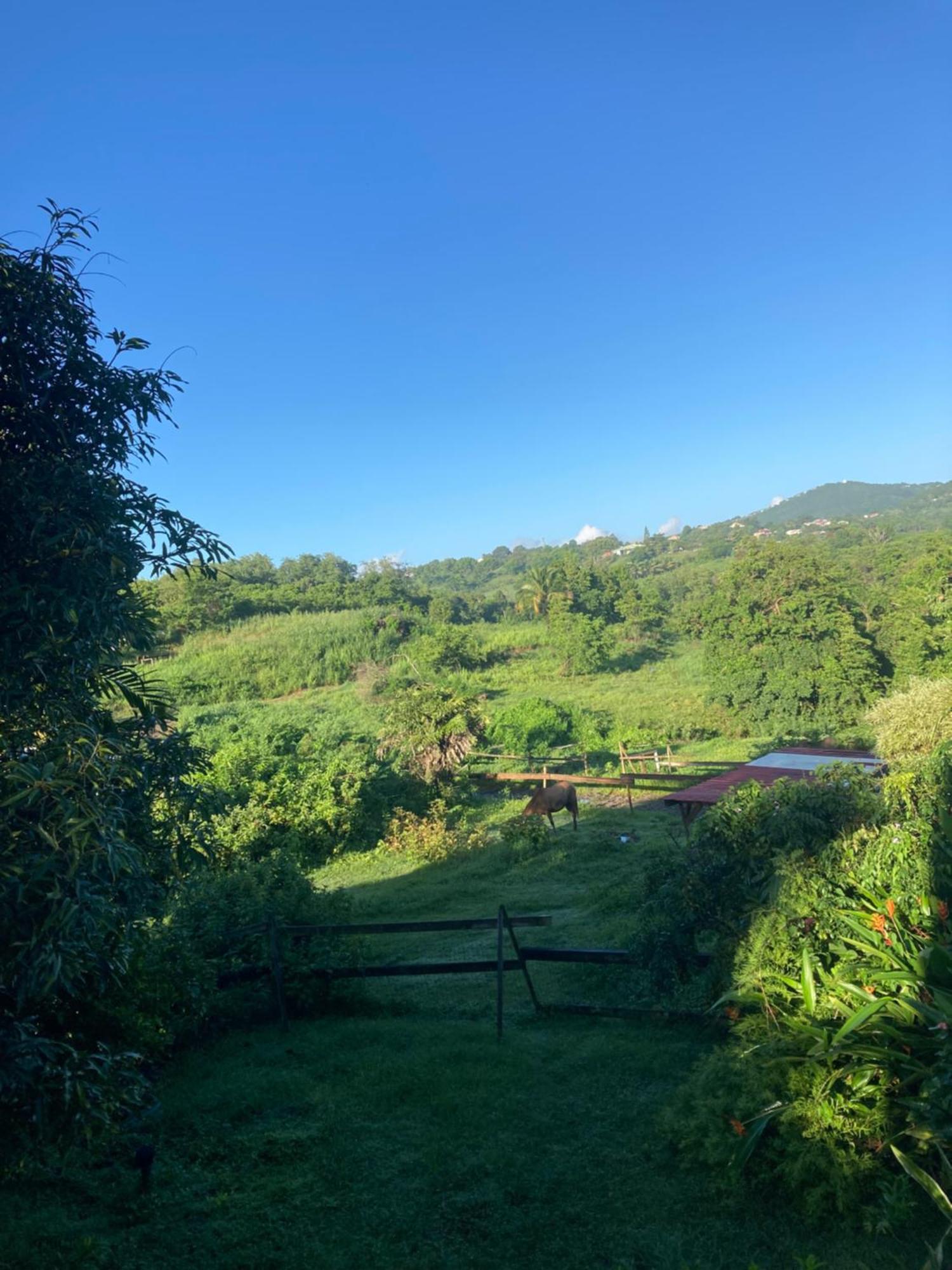 Grand T2 Tout Confort , Emplacement Ideal Riviere-Salee 外观 照片
